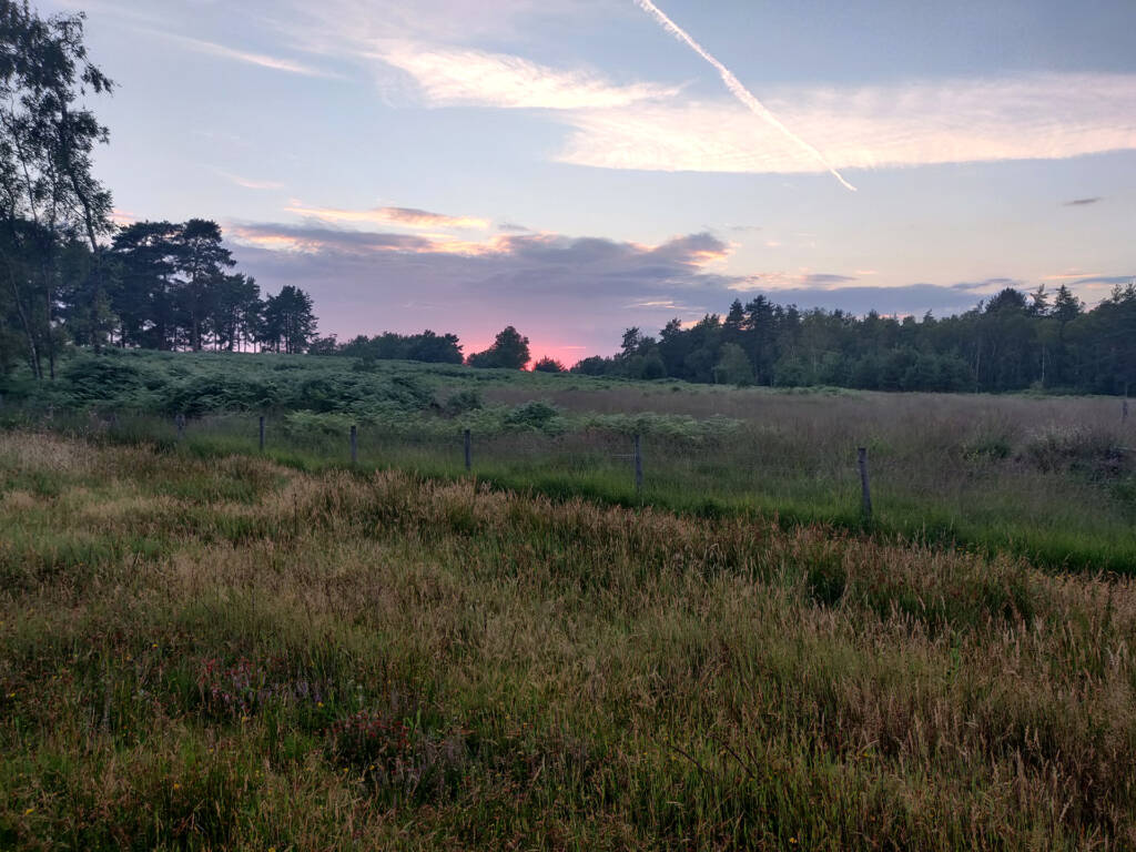 Signs of a great trail run - Sunset over some grassland in Hampshire (UK), near the South Downs
