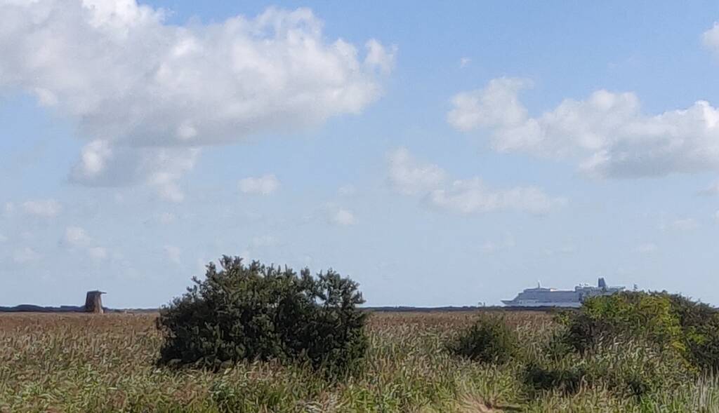 a ship sailing past on the horizon, above the grassland during a coastal trail running session near Dunwich, Suffolk.