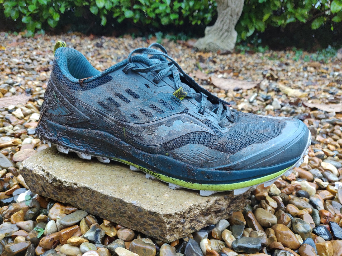 Saucony Peregrine 10 review - 350km update