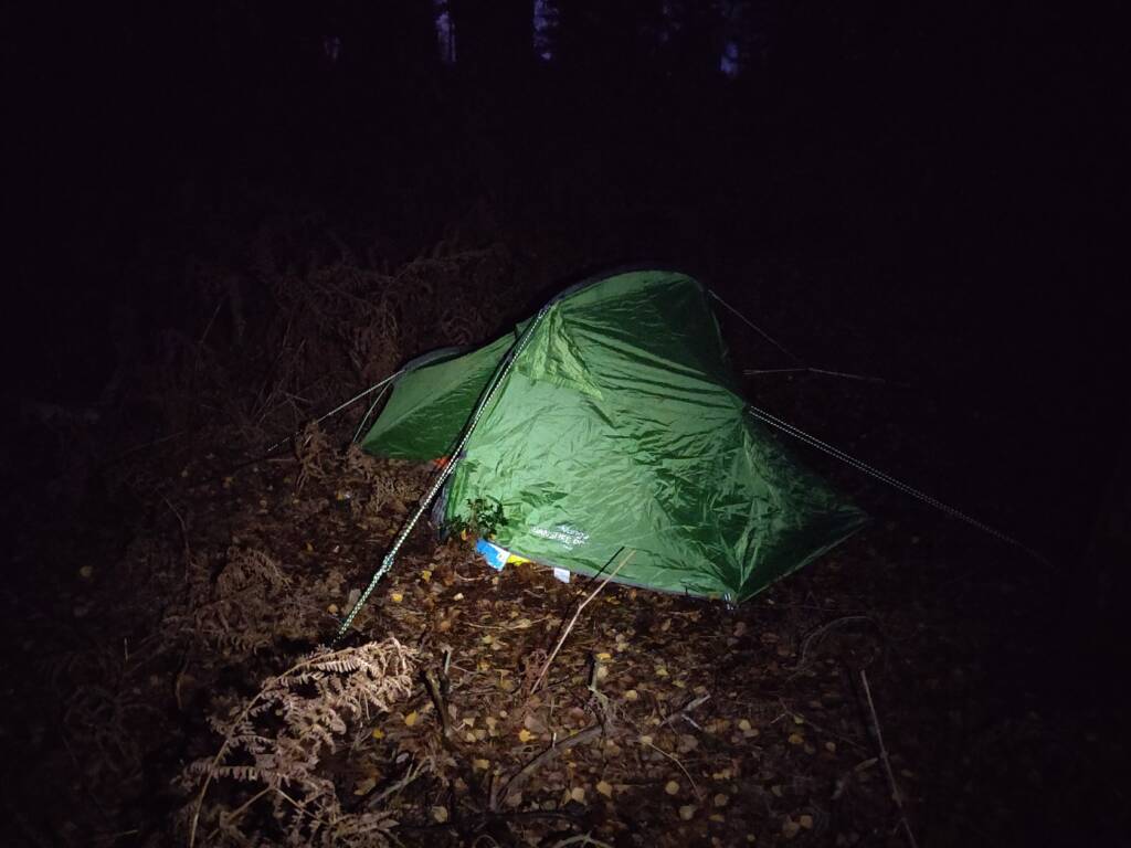 wild camp pitched tent at night.