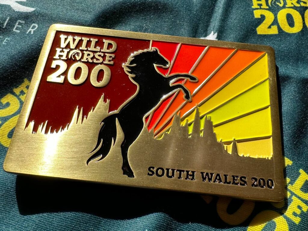 Wild Horse 200 South Wales buckle