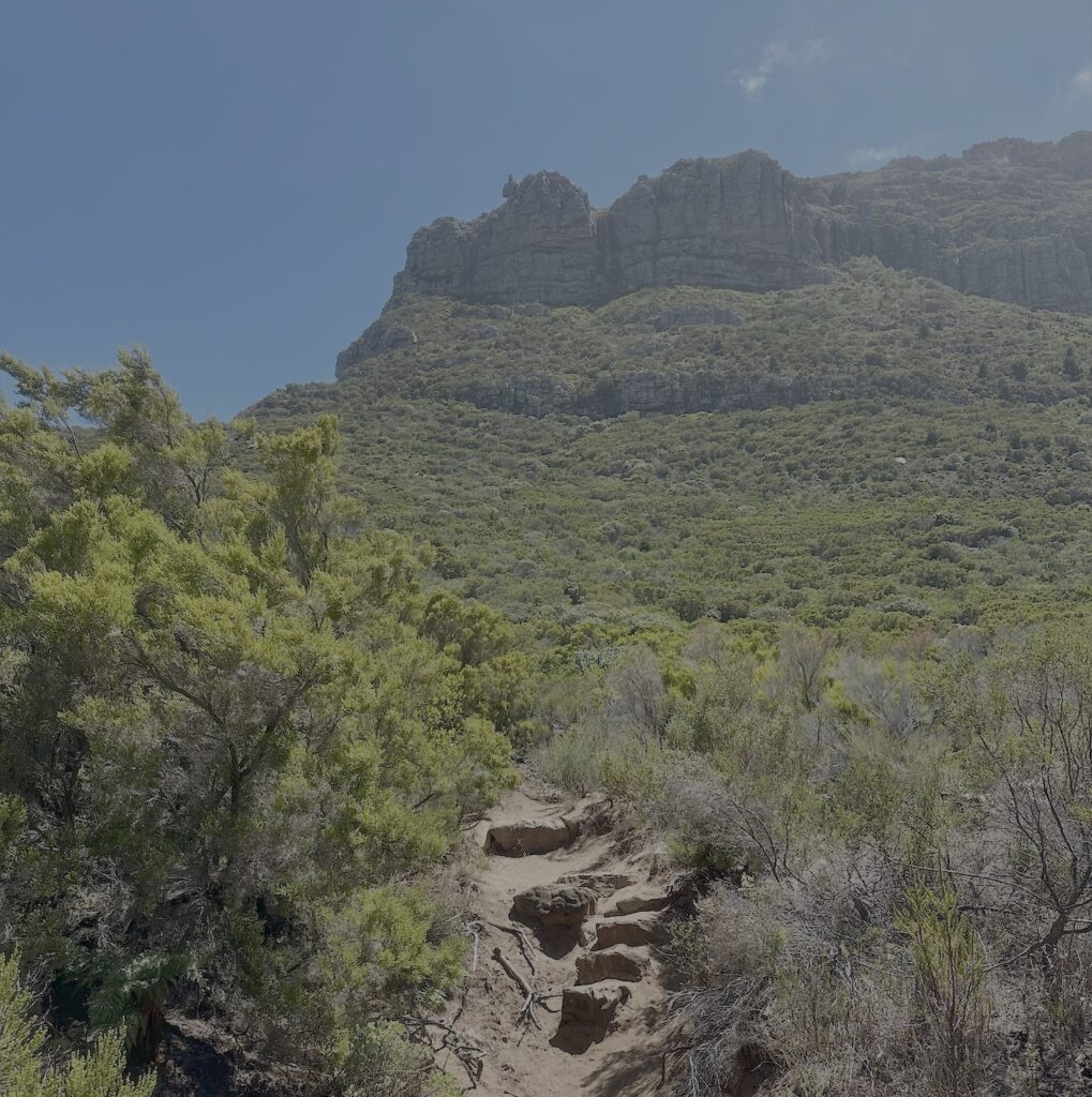 Judas peak in the distance after descending the trails from it on the 13 peaks challenge.